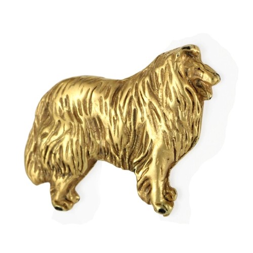 Collie pelo lungo - a, pastore
