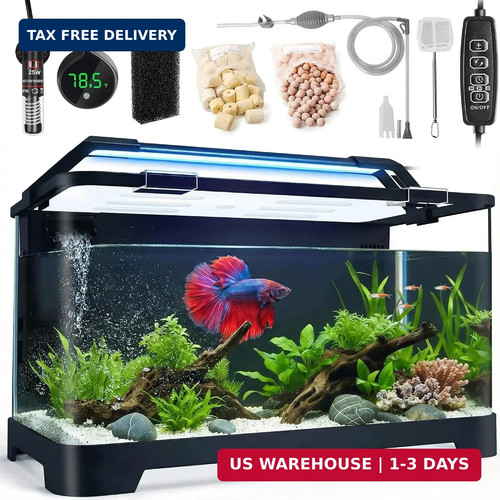 Betta fish tank 5 - fish, da