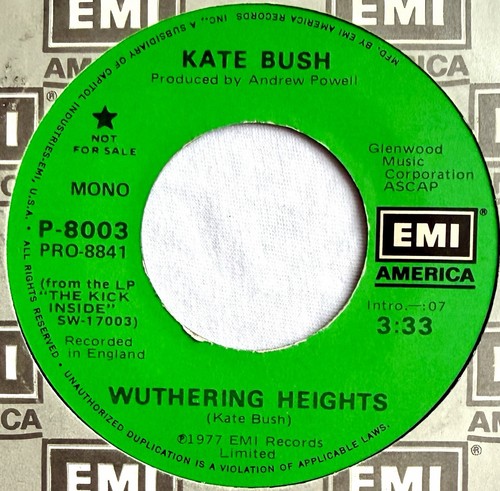 Kate bush wuthering - kate, -wuthering