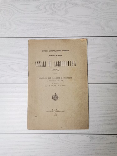 Cerletti d g cuboni - e, d.g.
