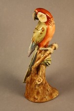CAPODIMONTE - PAPPAGALLO -