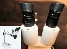 Resistente Professionale