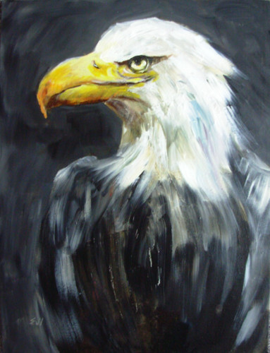 Quadro originale aquila - , calva