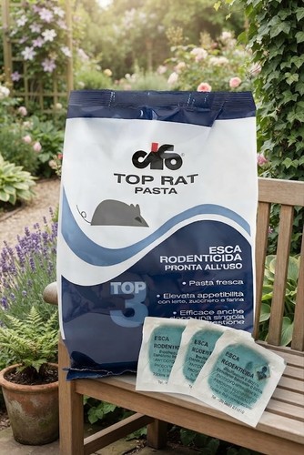 Cifo topicida sea top rat - topicida, in