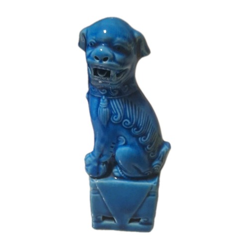 Cane foo cinese in - di,