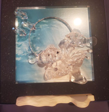 Cristalli Swarovski/Wonders Of