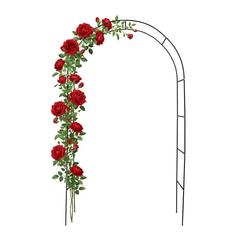 Arco per rose - , piante