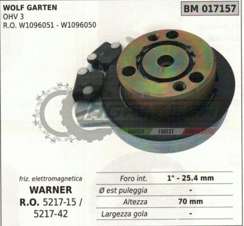 W1096051 w1096050 frizione - w1096050,