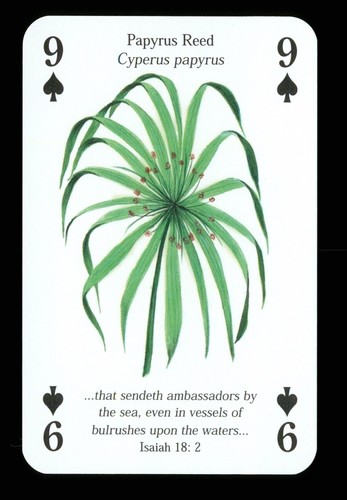 Playing card bible - 1,