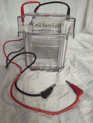 Invitrogen xcell surelock - invitrogen,
