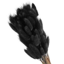 Coda di Coniglio 15,7" Fiori