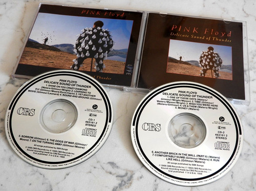 Pink floyd delicate - pink, sound