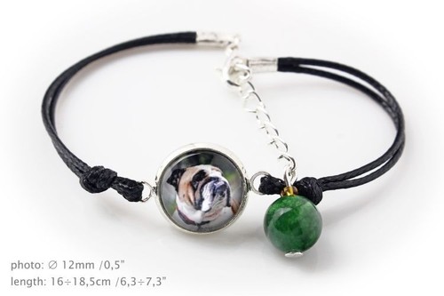 Bulldog inglese bracciale foto - bulldog,