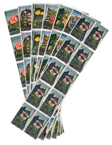 S33865 dealer stock - dealer,