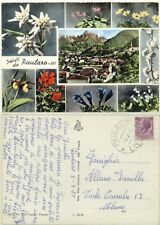 PAULARO -UDINE -VEDUTINA E