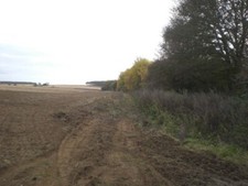 Photo 6x4 South along edge of