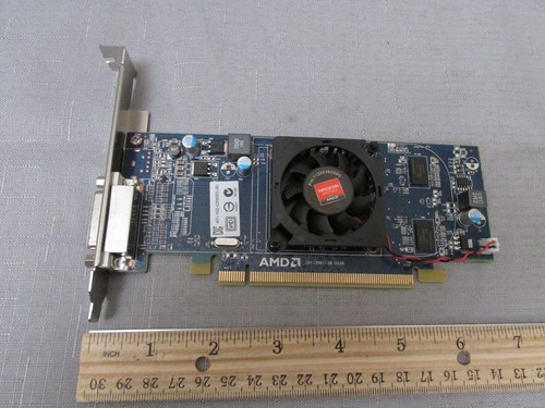 Scheda video ddr3 - video,