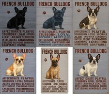 French bulldog dog traits - dog,