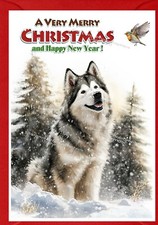 Biglietto di Natale per cani