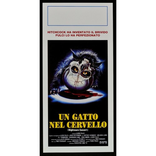 Locandina gatto nel - gatto,