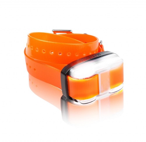 Dogtra edge collare - dogtra,