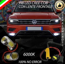 COPPIA LAMPADE FENDINEBBIA H8