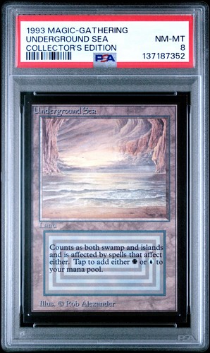 Magic the gathering - magic,