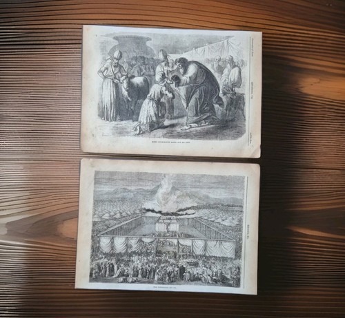Antiche incisioni bibliche