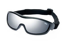 OCCHIALI PROTETTIVI RAVS -