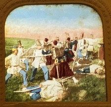 foto stereo tissue Austria vs