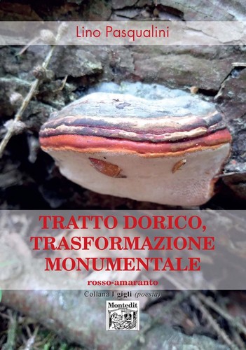 Libri lino pasqualini tratto - -,