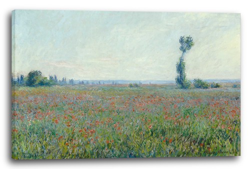 Tela cornice claude monet - tela/cornice,