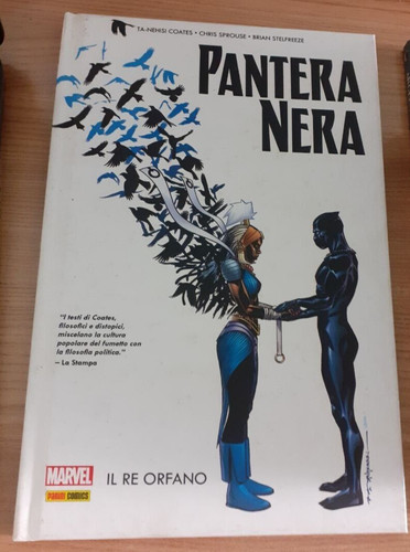 Pantera nera orfano - nera, il