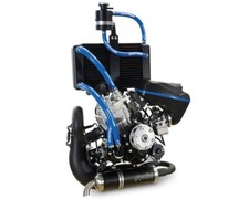 Polini Thor 303 engine NEW