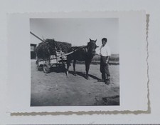 09664 Foto d'epoca 219 - Uomo con carretto - Palermo