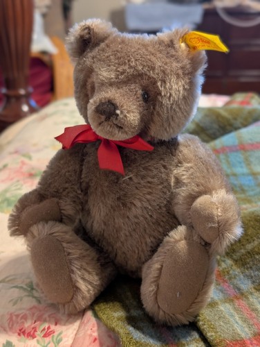 Steiff bear plush - bear,