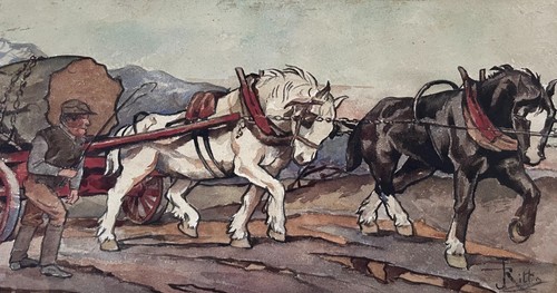 Cavalli traino acquerello - traino,,
