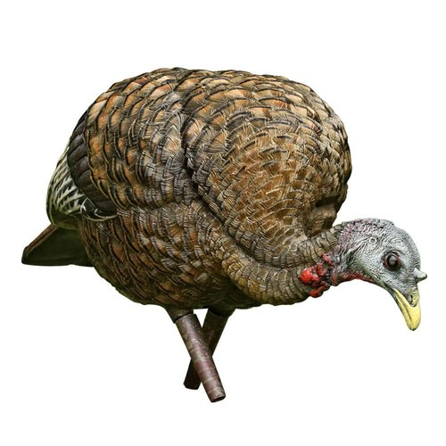 Avian alimentatore lcd - x, pollo