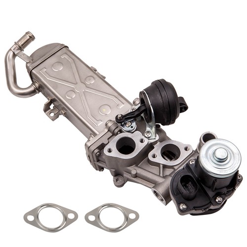 Vanne egr for golf - vanne, vi