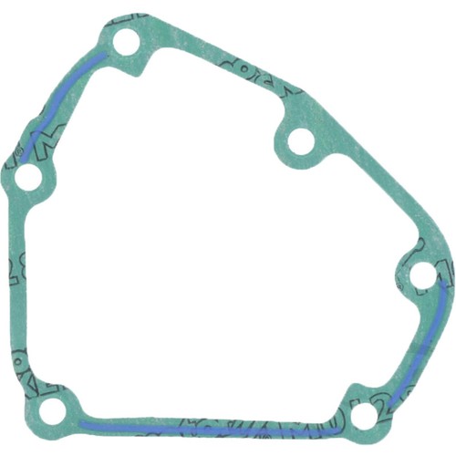 Guarnizione coperchio