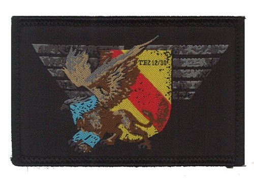 Distintivo patch polizia