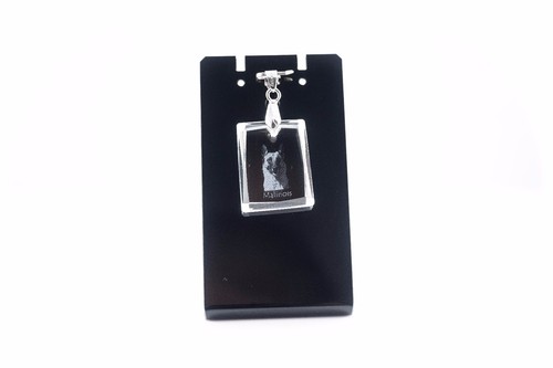 Mechelaar collana per - mechelaar,, cani