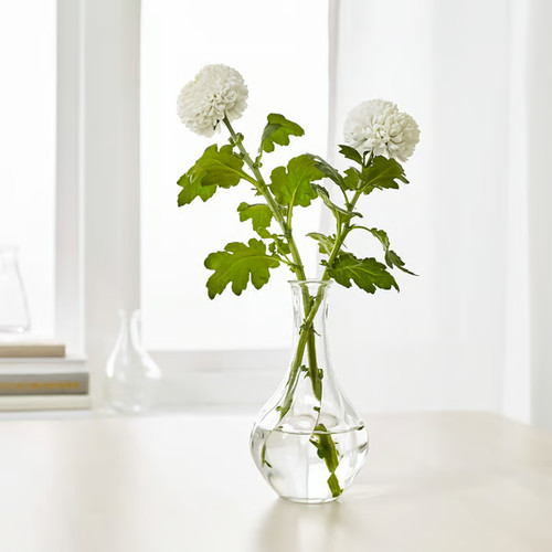 Ikea vaso - ikea:, vaso: