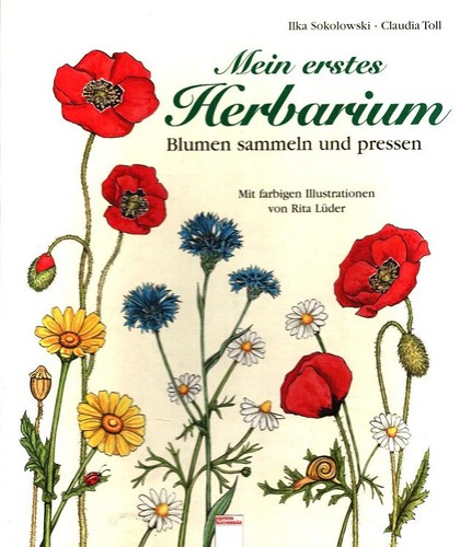 Mein erstes herbarium - mein, blumen