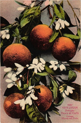 Cote dazur cartolina epoca - dazur, d'epoca