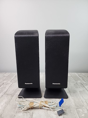 Panasonic hs100 coppia - panasonic,