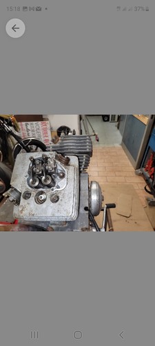 Testate morini 350 - testate,
