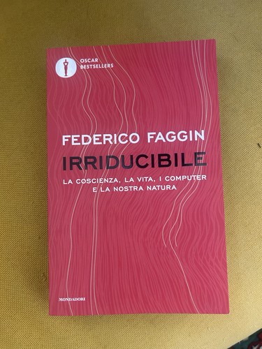 Federico faggin irriducibile - -,