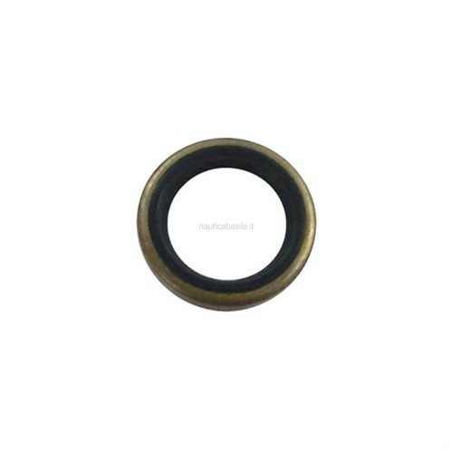Paraolio piede evinrude - paraolio,