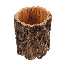 Angolo geco leopardo